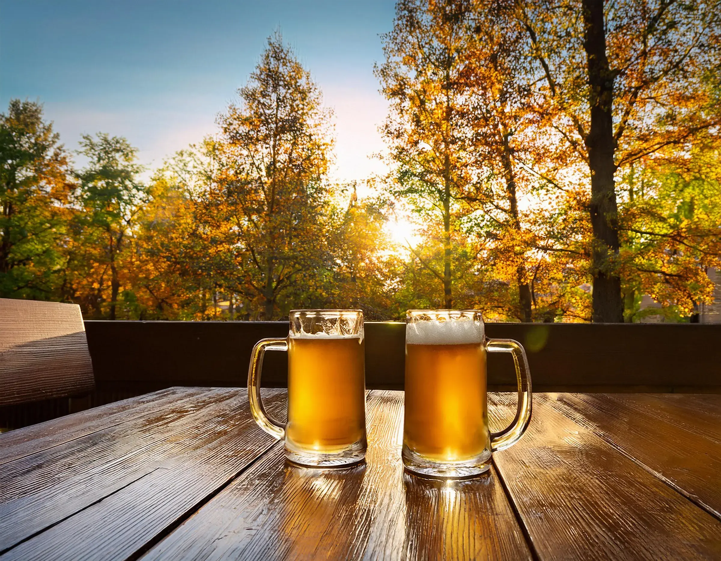 Energiecollectief Horeca